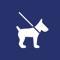 Pet friendly - CABO GATA PLAZA
