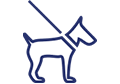 Pet friendly - CABO GATA PLAZA